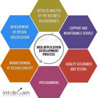 custom web application development process