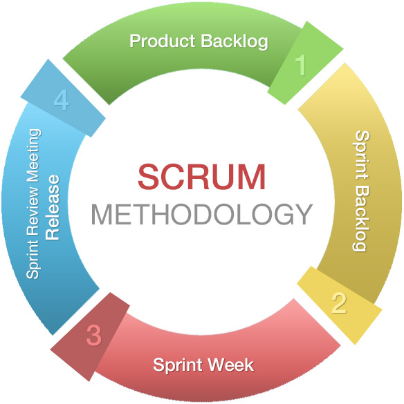 Scrum Methodology For Web Development