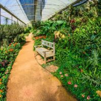 Garden Design Ideas to Grow More in Small Space