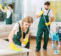Professional Cleaners London