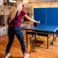 portable ping pong table