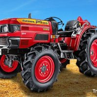 Mahindra jivo 365 tractor